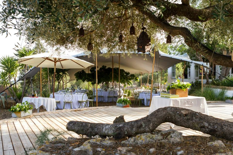 1546221_674649752589426_6933650516699303650_n Can Domingo Italian Restaurant