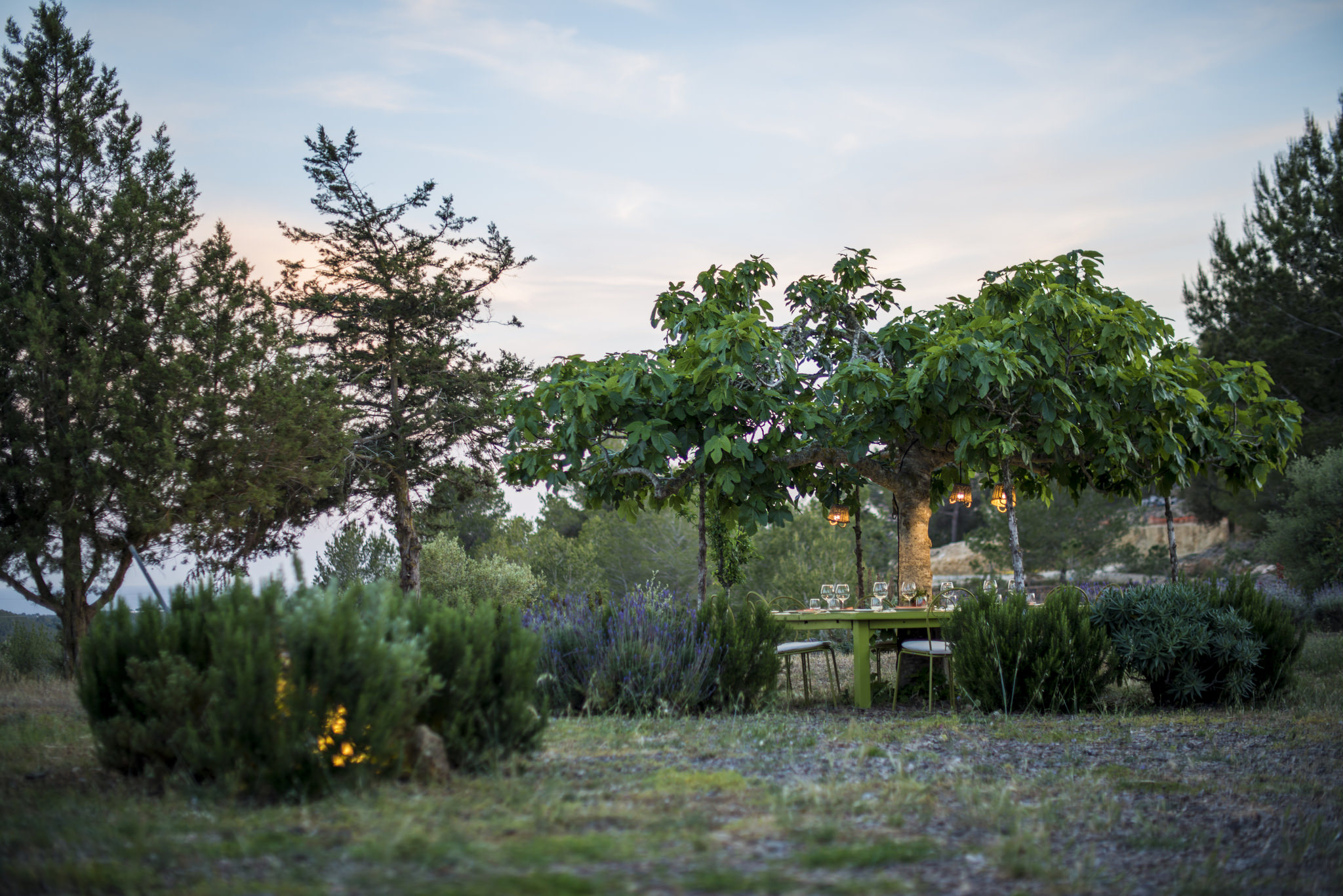 17743437558_37034fa0a1_k Can Domingo Italian Restaurant