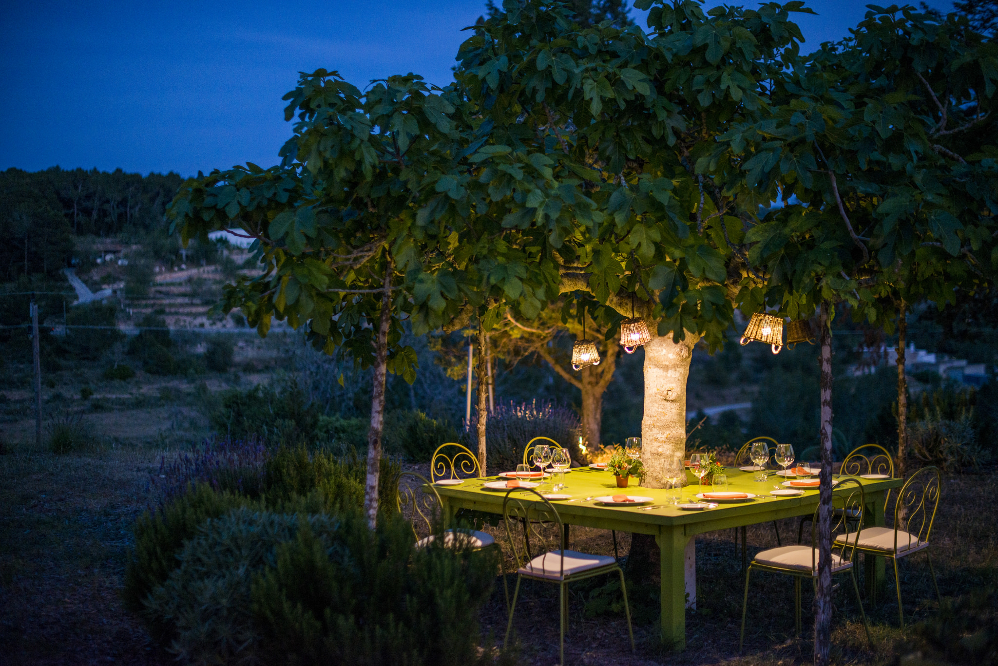 17935456752_d5e8540d6f_k Can Domingo Italian Restaurant