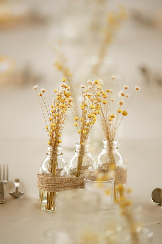 10001300_10152947781352966_7335886946135054164_n-ERPVf5 Surf Cup Sports