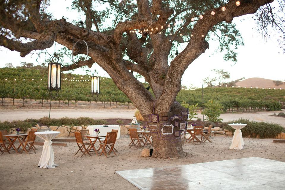 1012354_780937525280782_4410770361899911091_n Cass Winery