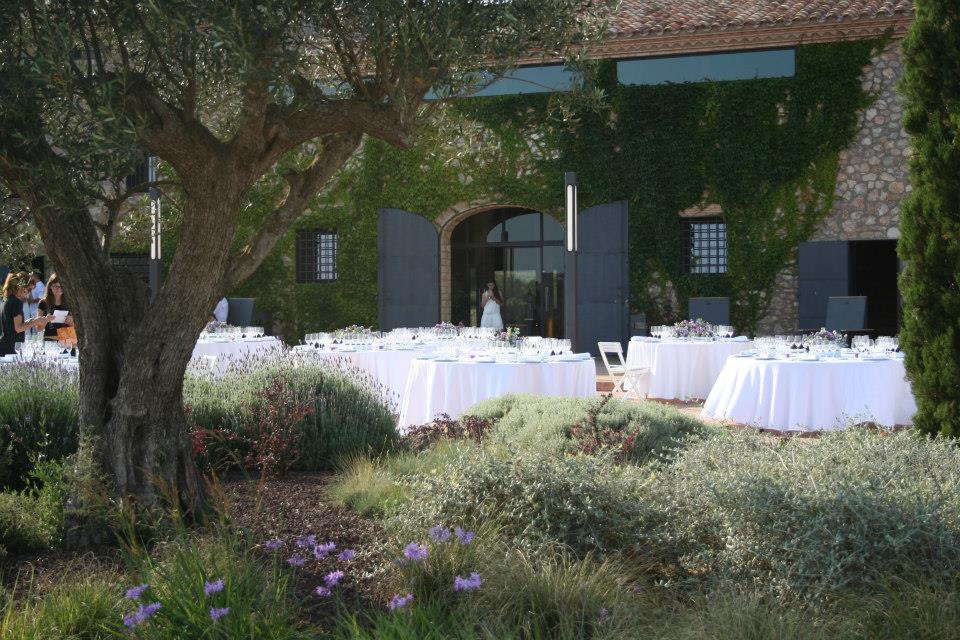 10523868_747770125262325_3909971945939641150_n Mas Oliveres