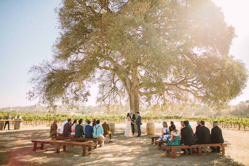 Cass-Winery-wedding-21 Cass Winery