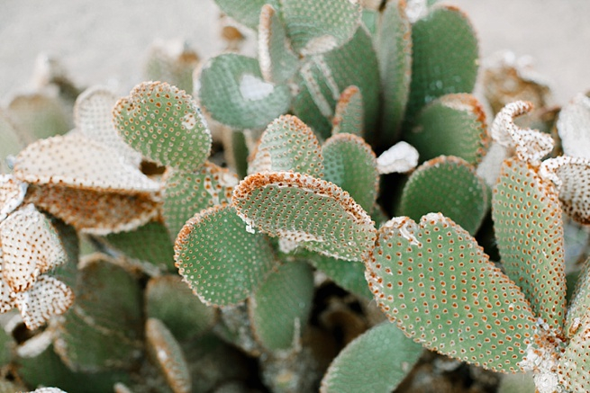 Red Rock Country Club