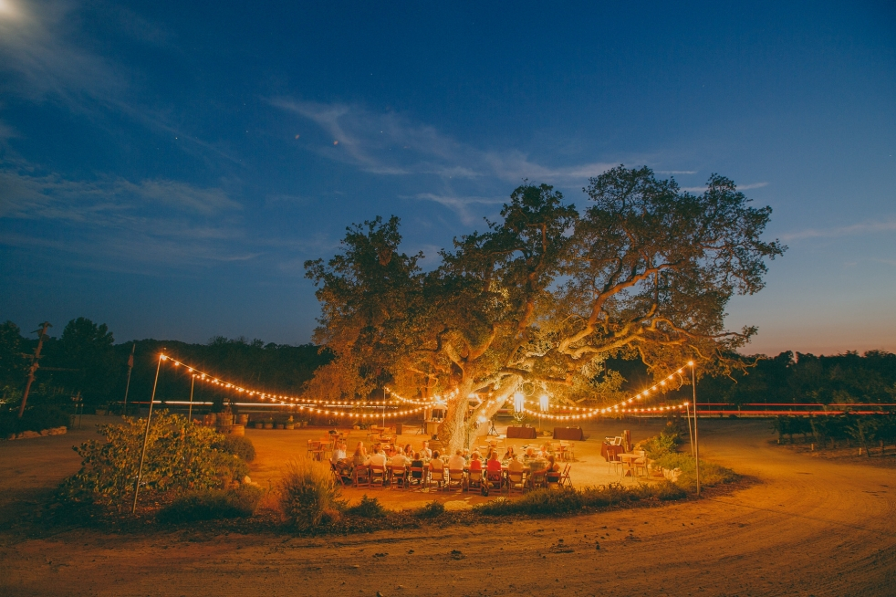 Michael_Stephens_Photography-1037(pp_w982_h654) Cass Winery