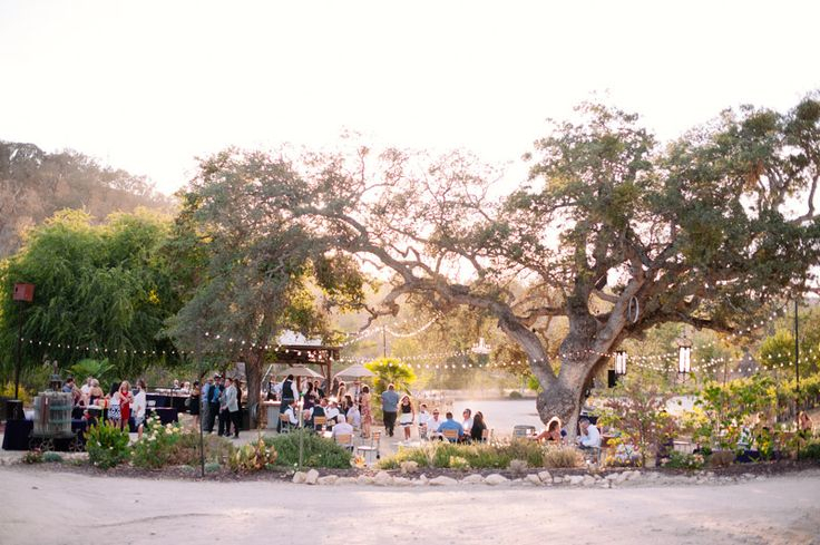 b97755832f74734dca2c99edf008fddc Cass Winery