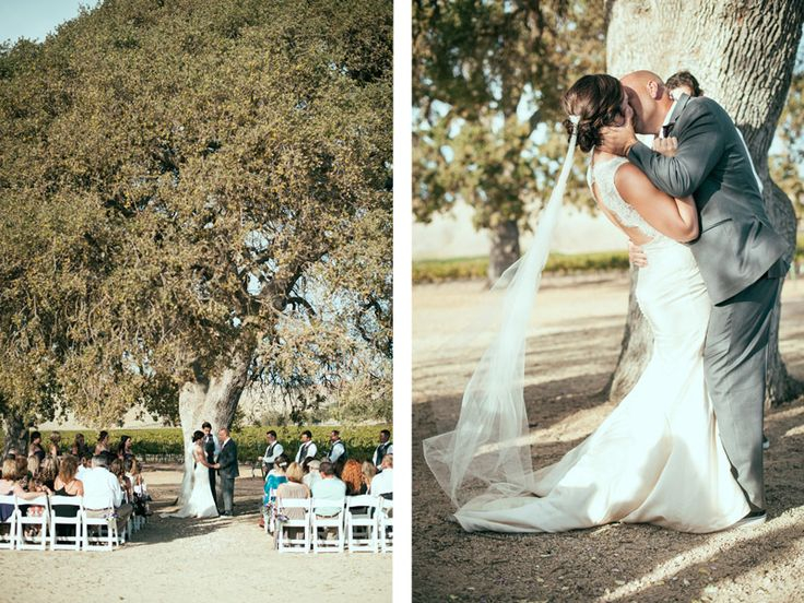 df01fbb8dc1ce8075460d147a888a936 Cass Winery