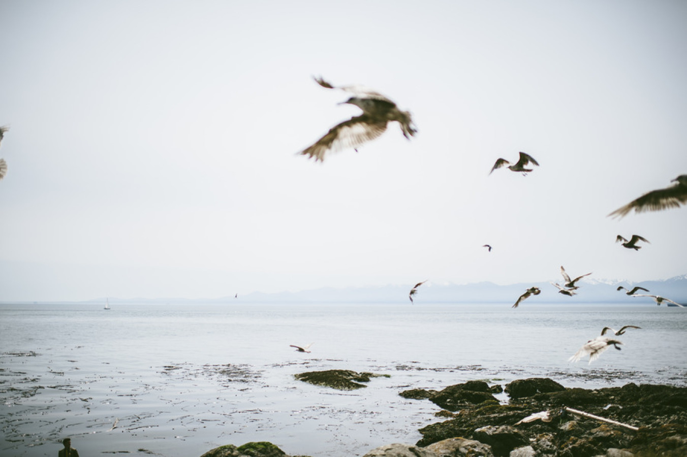 sea-cider-farm-3 Sea Cider Farm & Ciderhouse