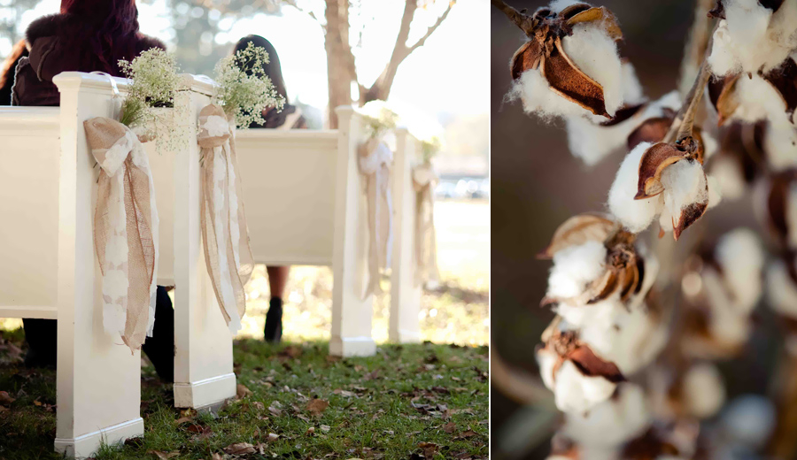 10845040103_d2bf3a372d_o J&D farms