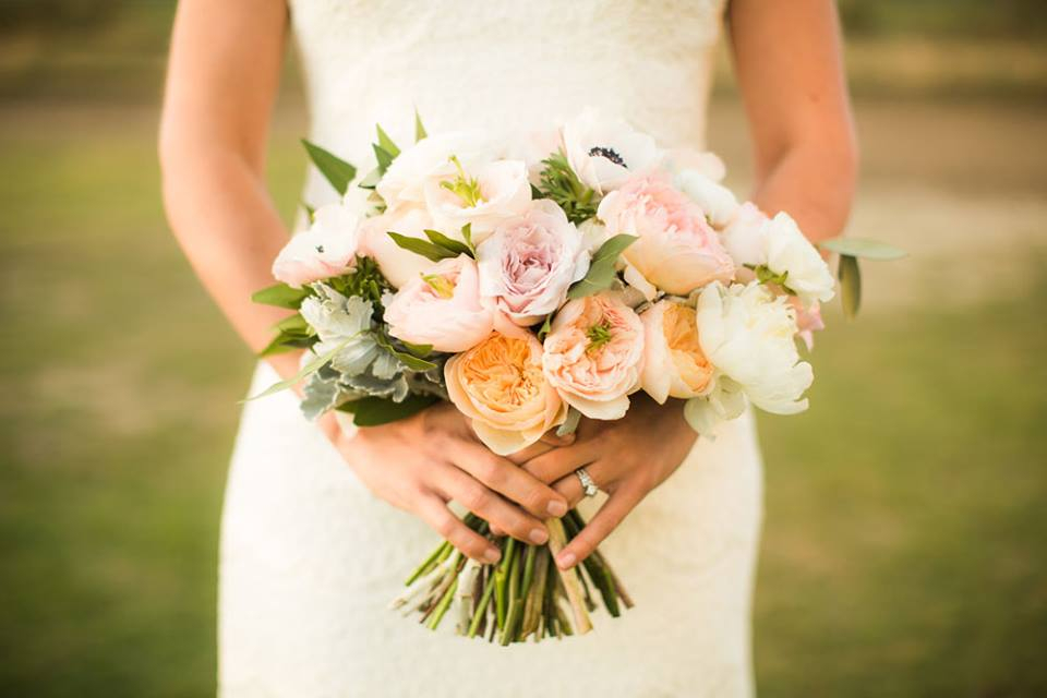 12088209_10153173178527966_8159560266336269101_n Surf Cup Sports