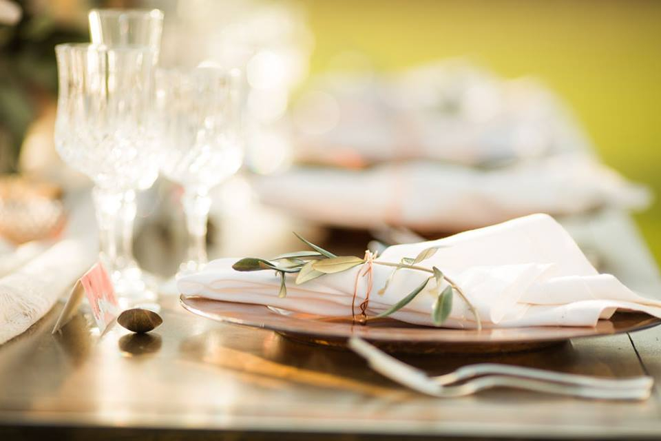 12115602_10153173179177966_4071423752314059134_n Surf Cup Sports