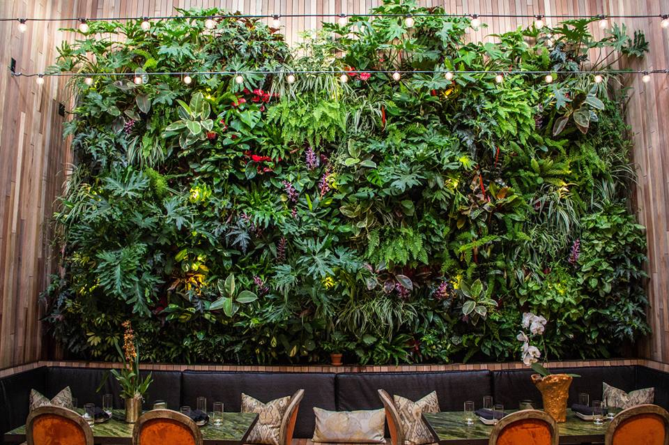 The Patio on Goldfinch