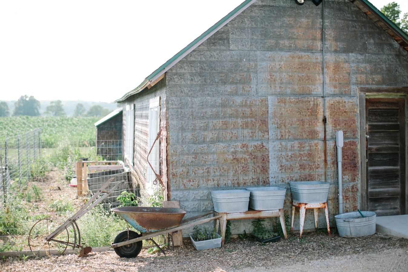 54ba797010238$!x900 About Thyme Farm