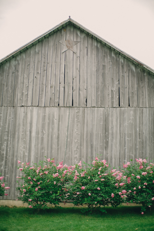 55d35fd7409e3$!x900 About Thyme Farm