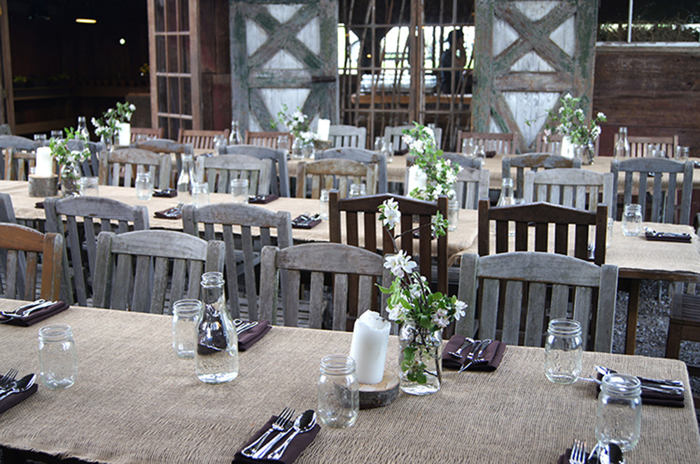 DSC09388 Blooming Hill Farm