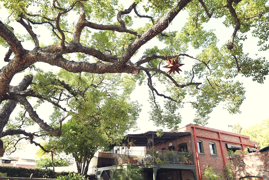 Elmer_Christina_blog027 Happy Trails Catering and Garden