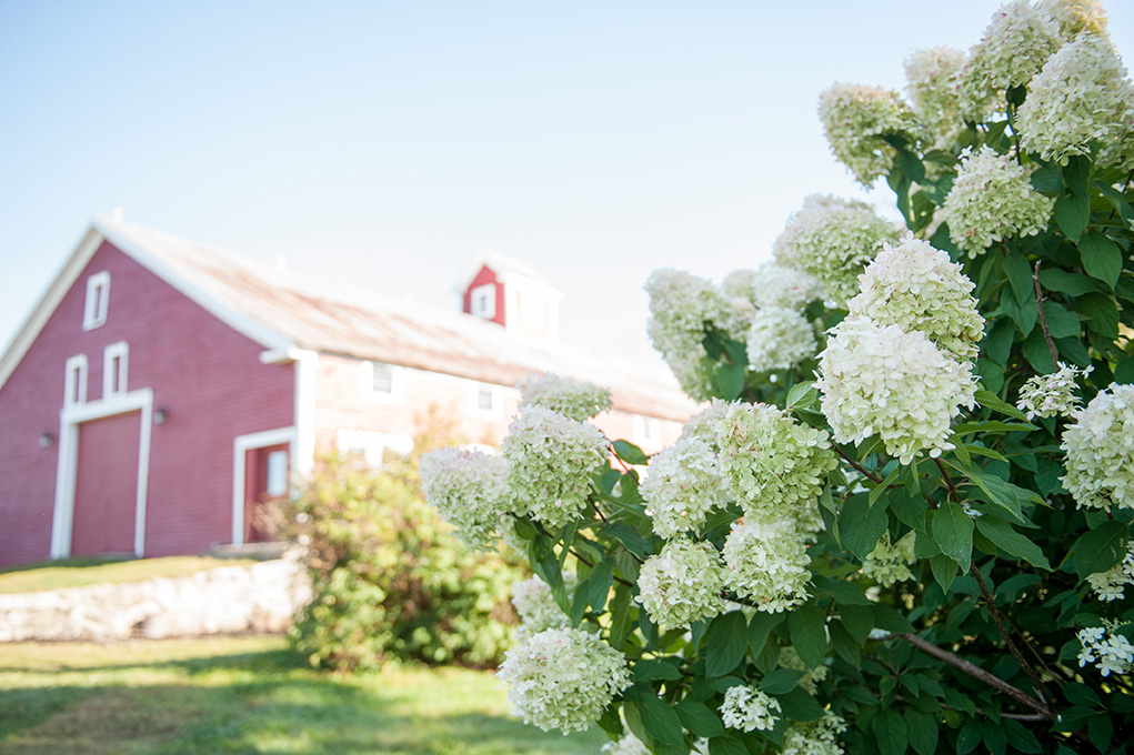 Maple-Rock-Farm-Parsonsfield-Maine-Wedding-Venue-Barn-Wedding-Our-Barn-0005 Maple Rock Farm