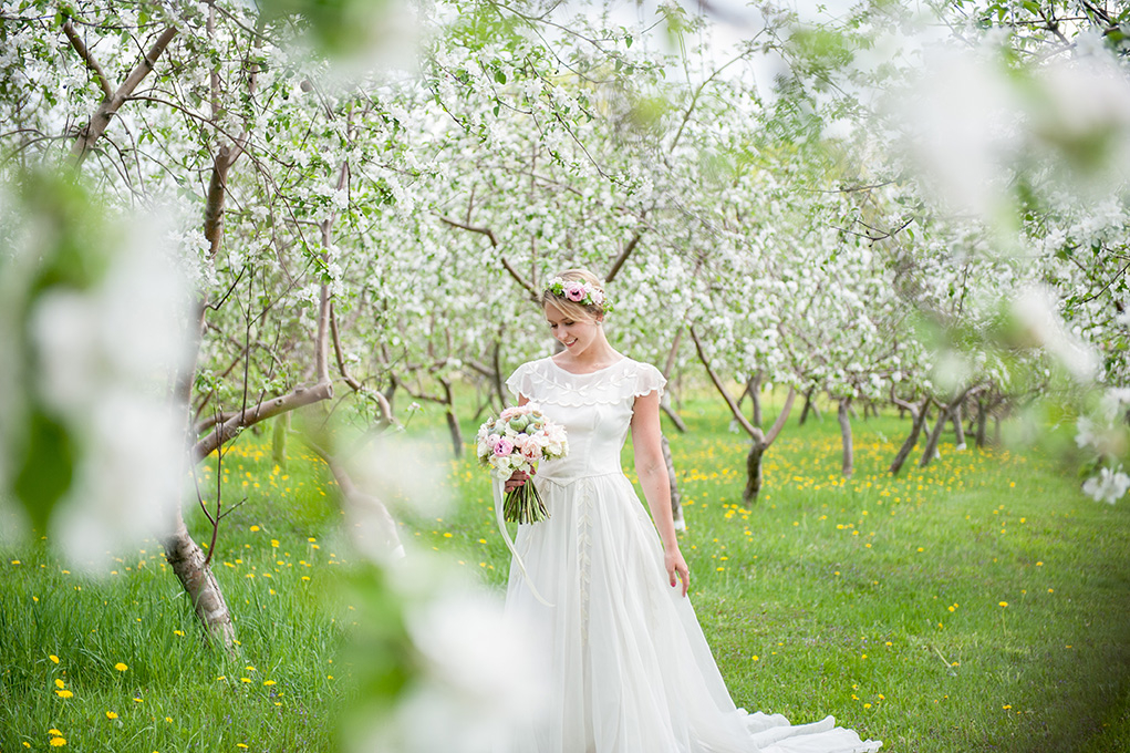 Maple-Rock-Farm-maine-wedding-venue-farm-house-barn-parsonsfield-maine-apple-orchard-the-grounds0005 Maple Rock Farm