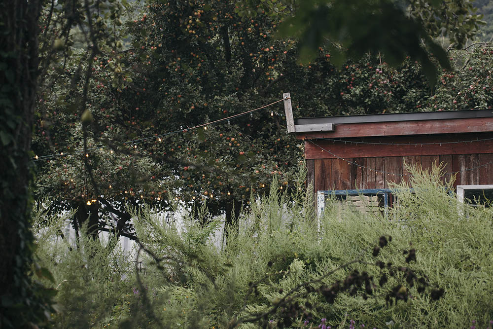 aaecce517118ae06b20c4cd943746fb1-xxlarge Blooming Hill Farm