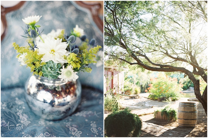 cotton-field-wedding-session The Windmill Winery