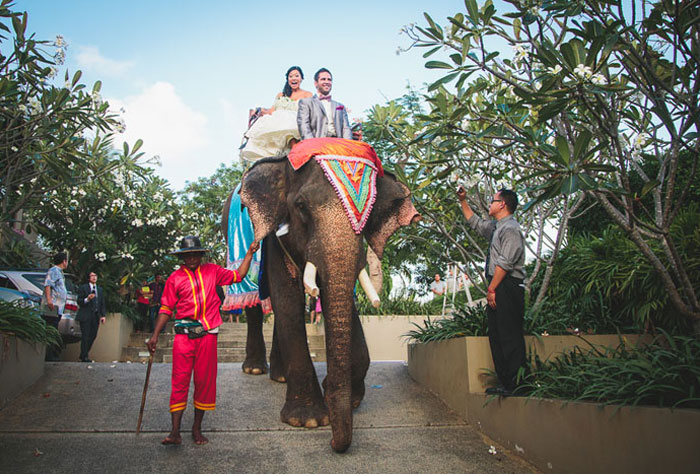 couple_elephant Baan Chom Pha, Koh Samui, Thailand