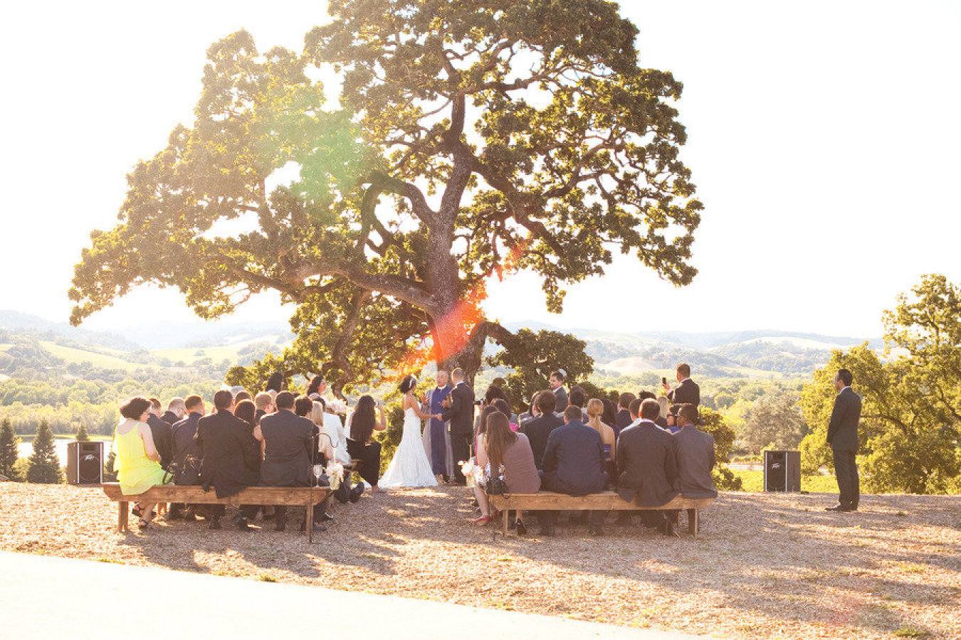 jharris_saturday_062$!x900 Copain Wines