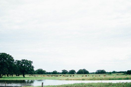 ranch-wedding-venue Vintage Oaks Ranch