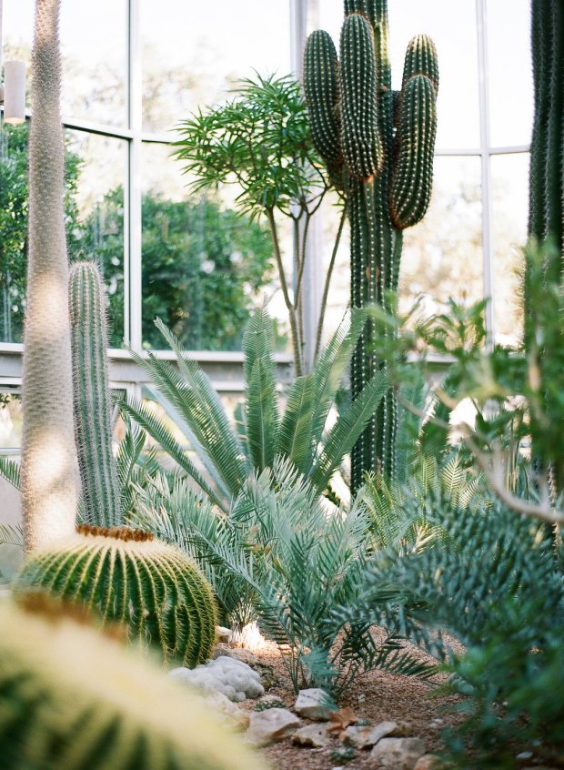 texas-wedding-venue7 The Greenhouse at Driftwood