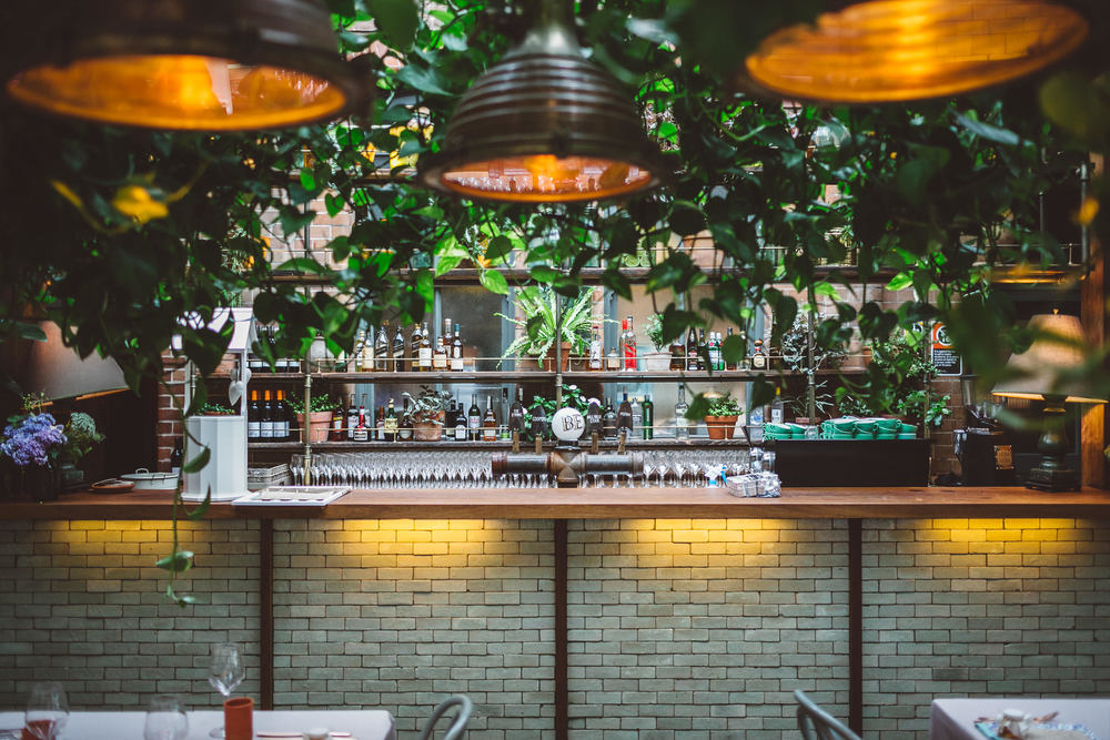 The Grounds of Alexandria