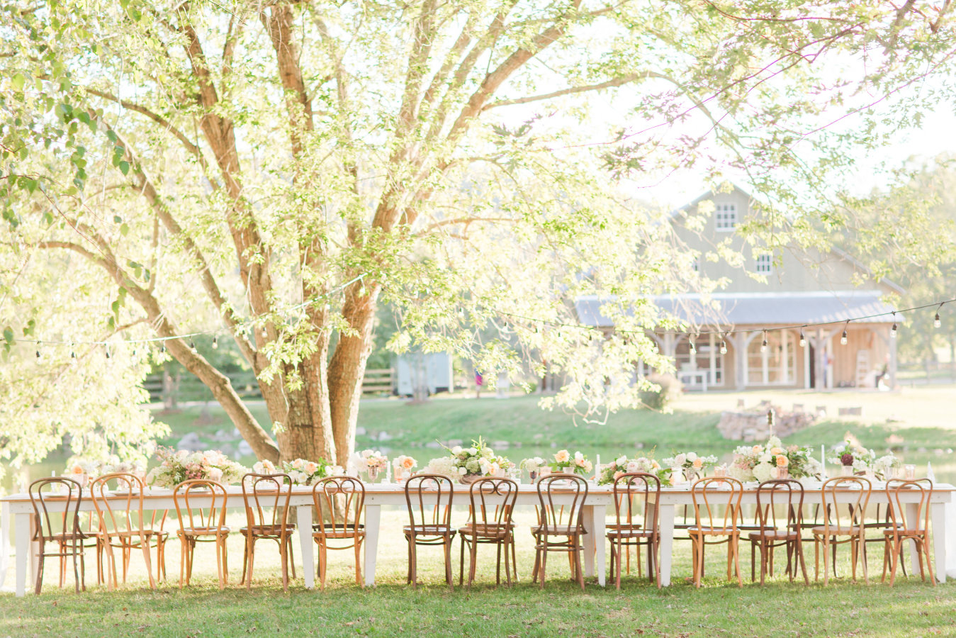 560b1da72b1d4$!x900-mxxtXN Big Spring Farm