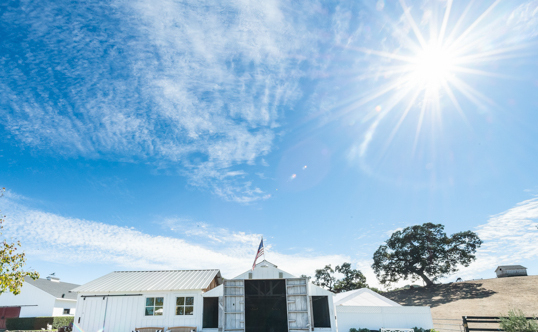 WBP_4web8725 Beaumont Farms