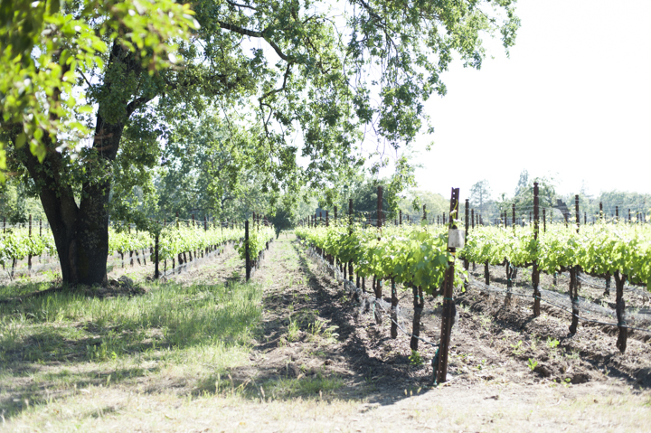 Whetstone Wine Cellars