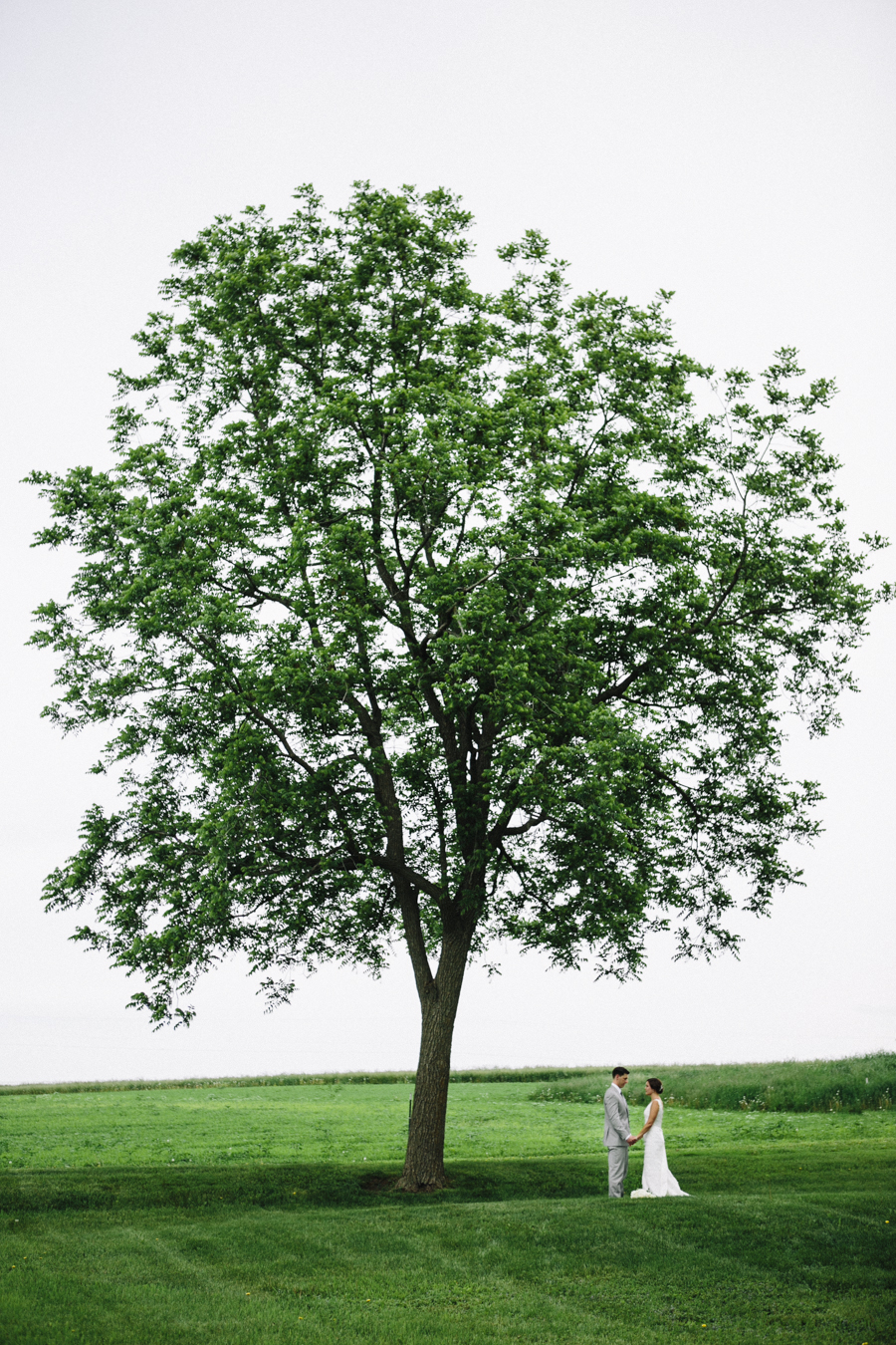 tree-wedding-portraits The Century Barn