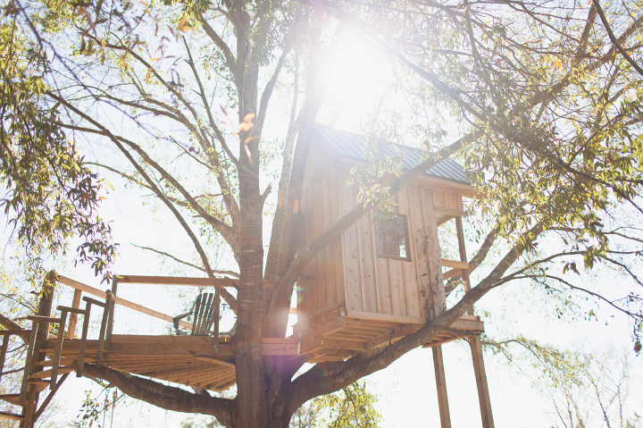 treehouse-wedding The Corry House