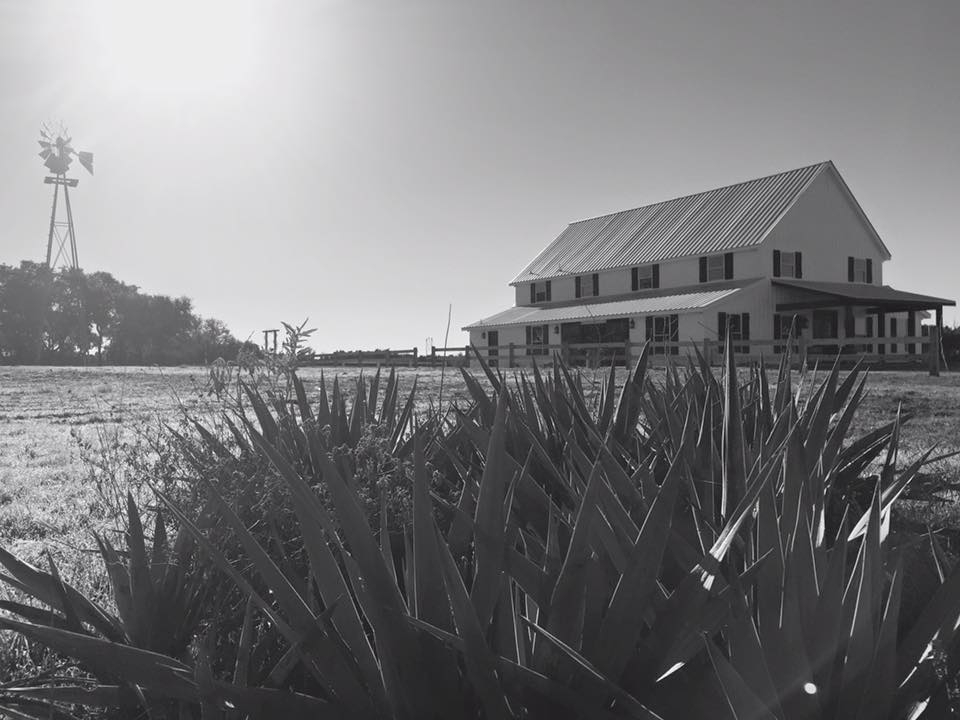 Five_oaks_Farm_wedding_2 Five Oaks Farm