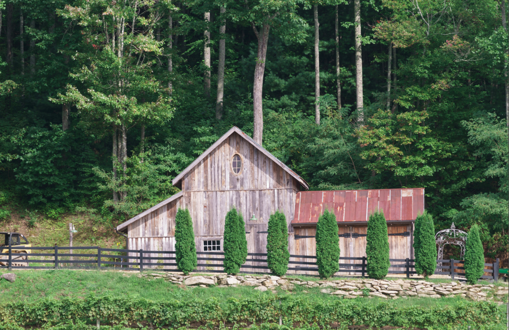 Screen Shot 2016-02-05 at 10 The Vineyard at High Holly