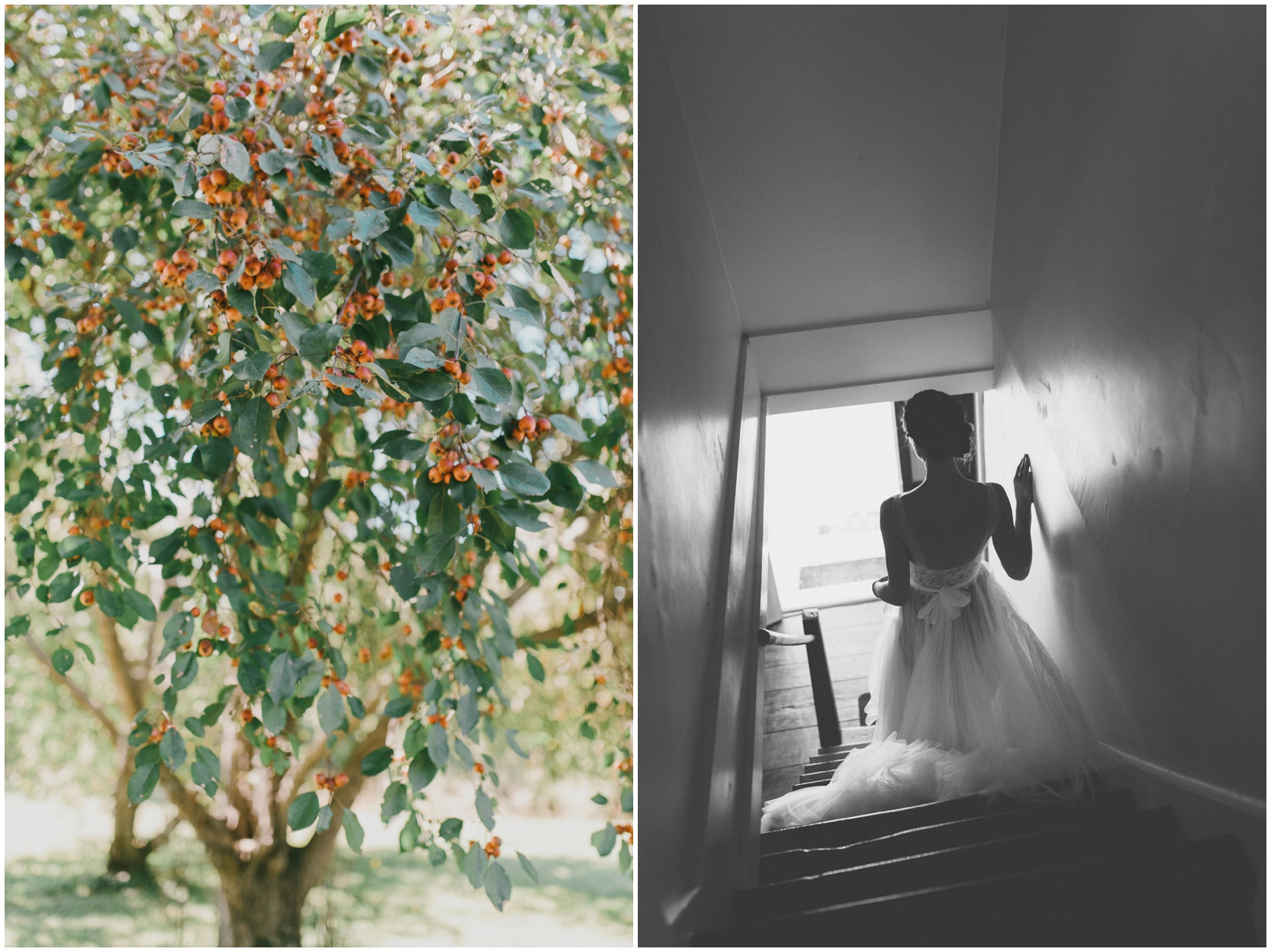 Shady_Lane_Farm_Wedding_12 Shady Lane Farm