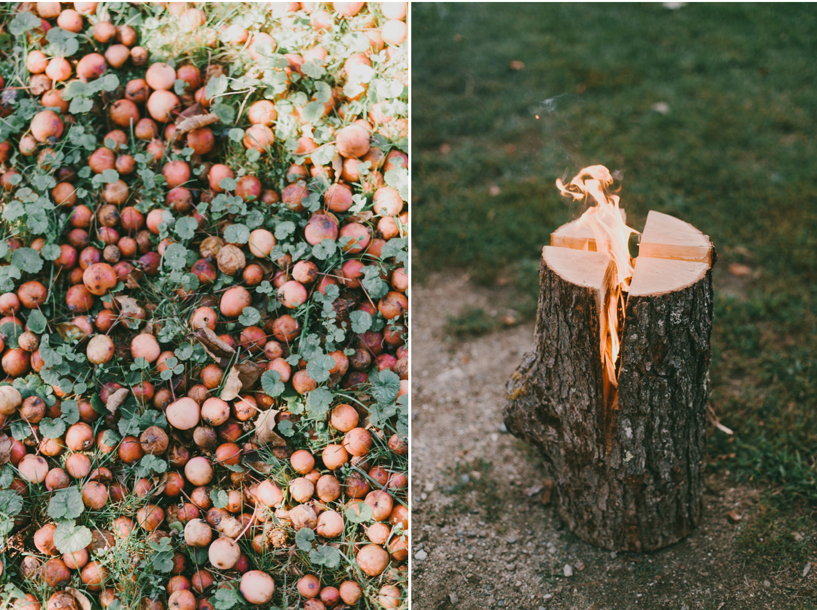 Shady_Lane_Farm_Wedding_3-2 Shady Lane Farm