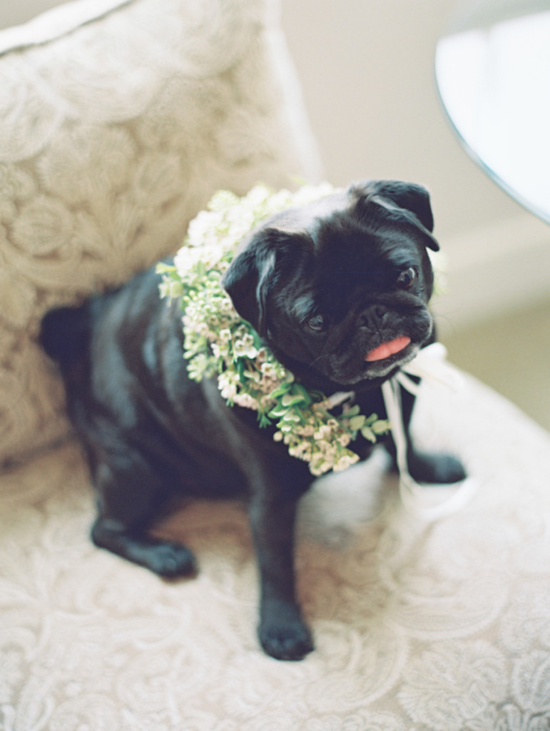 Sugar-Beach-Maui-Weddingjpg Sugar Beach Events