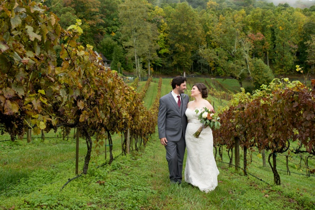 THE_VINEYARD_AT_37_HIGH_HOLLY_8 The Vineyard at High Holly