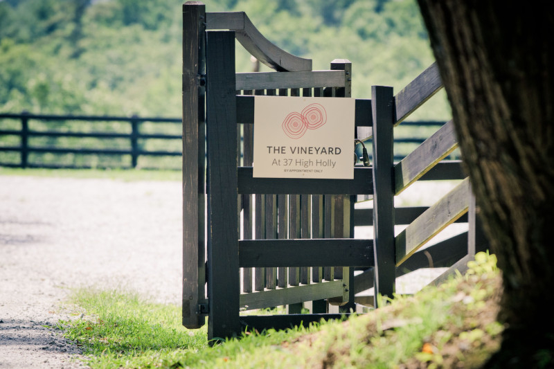 THE_VINEYARD_AT_37_HIGH_HOLLY_wedding_1 The Vineyard at High Holly