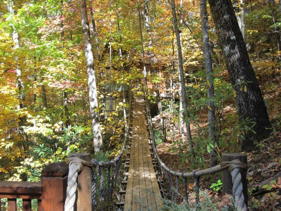 Vineyard_37_High_Holly_Mountain_Retreat_13 The Vineyard at High Holly