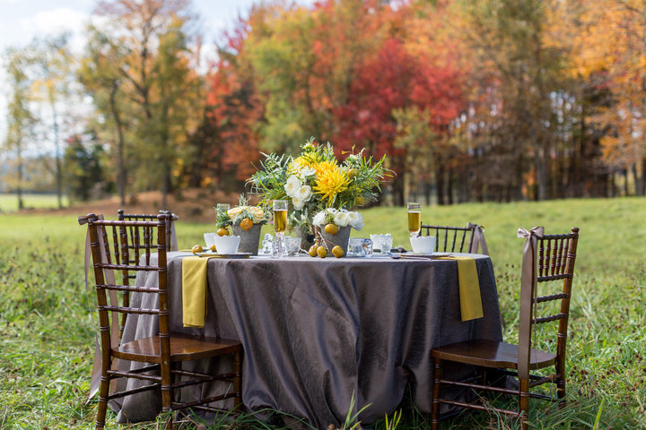 bellevue-barn-at-carlisle-place-jefferson_6 Bellevue Barn at Carlisle Place
