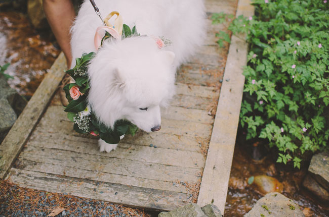 dairyland_wedding_barn_16 Dairyland