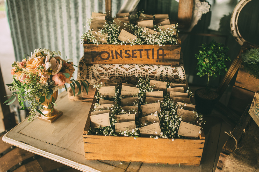 storyboard011 Pecan Springs Ranch