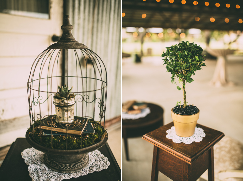 storyboard012 Pecan Springs Ranch