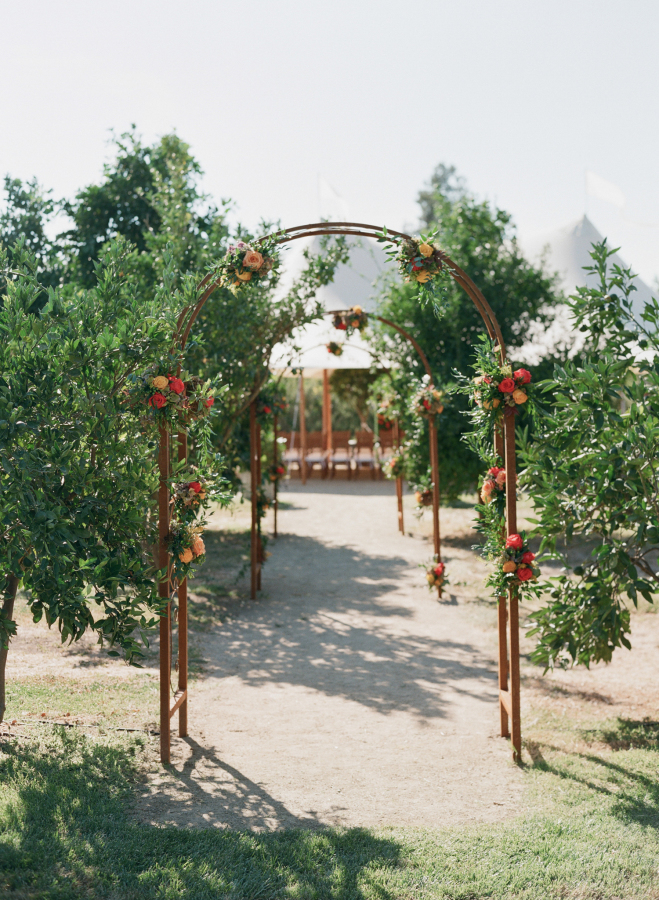 5499bf8848f83$!x900 Bear Flag Farm