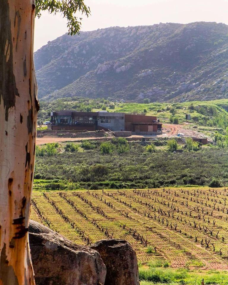 Decantos_Vinicola_2 Decantos Vinícola