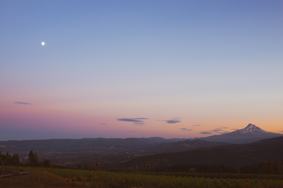 Gorge-Crest-Vineyards-Wedding-23 Gorge Crest Vineyards