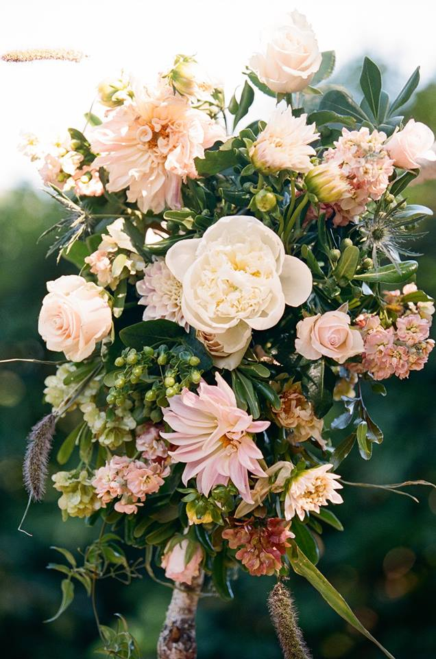 Madrona_Manor_Wedding_2 Madrona Manor